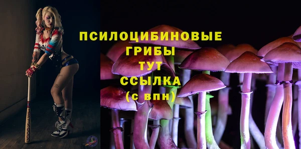 крисы Михайловск