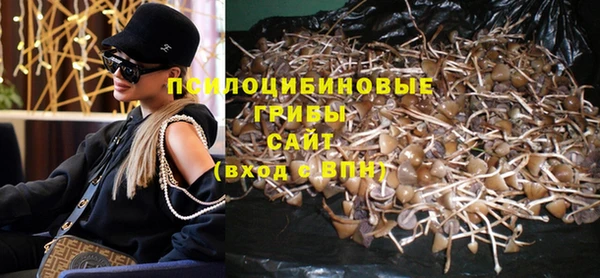 дурь Михайловка