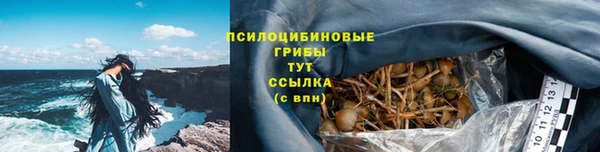 крисы Михайловск