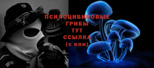 сатива Михайлов