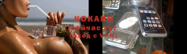сатива Михайлов