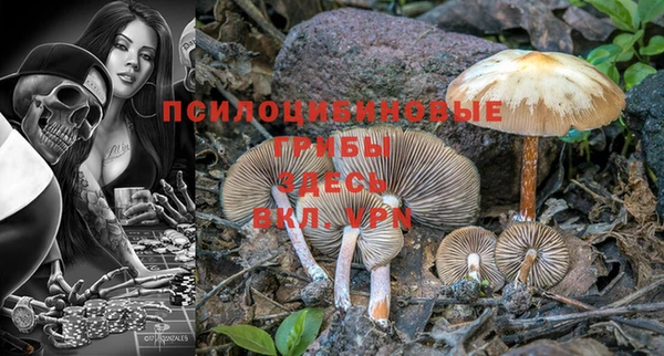 сатива Михайлов