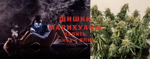 сатива Михайлов