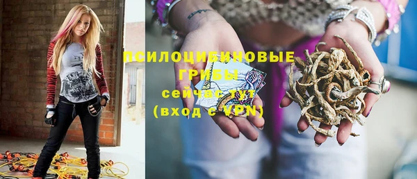 сатива Михайлов