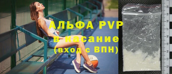 шишки Гатчина