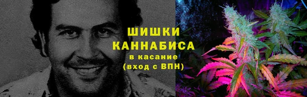 PSILOCYBIN Медногорск